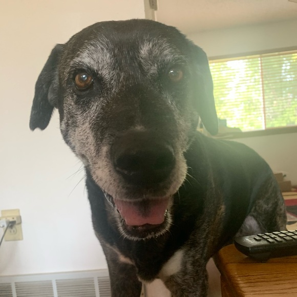 Meet your Posher, Taylor - Picture 5 of 5